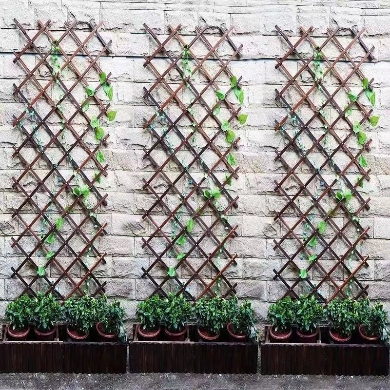 墙上栅栏阳台墙面挂墙客厅爬藤藤蔓植物室外网架阳台花架围栏室内