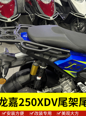 适用于龙嘉踏板摩托车XDV250尾翼尾架后货架尾箱后备箱支架改装