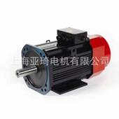 DSM 33.3HZ伺服电机 11KW 38D11K E1B2A139L