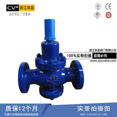 厂家直销Y42X-16C自来水压阀弹簧薄膜法兰压阀