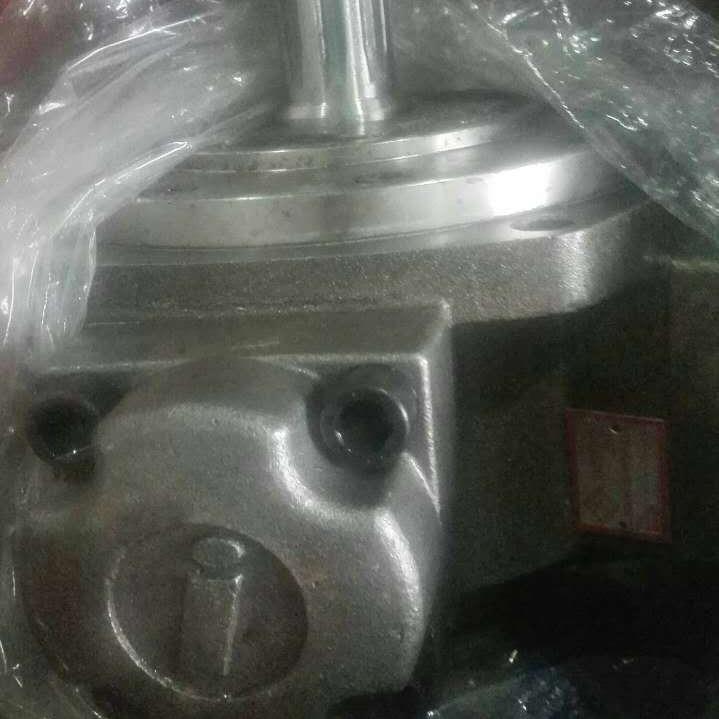 跨境加工掘进机一运马达NHM6-400