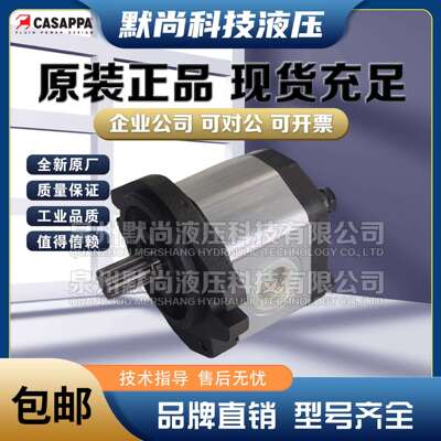 凯斯帕CASAPPA齿轮泵PLP30.22/27/34/38/43/51/61/73/82/90R油泵