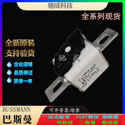 巴斯曼170M5775 170M5813 170M5759 长期出厂价格 低压保险丝