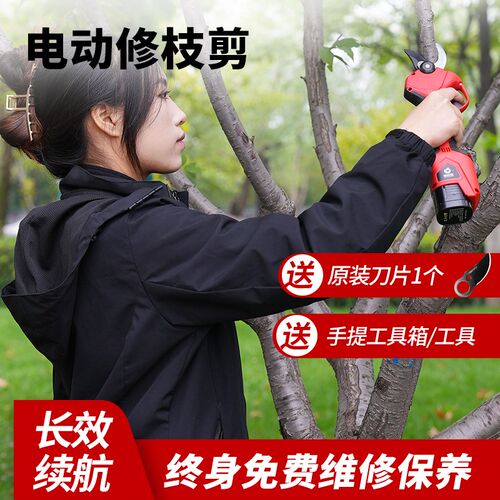 电动修枝剪锂电剪树枝剪刀园林电剪子家用修树剪子剪刀果树充电式