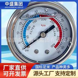 1.50 ZM20 4mPa 100A 抗震压力表Y