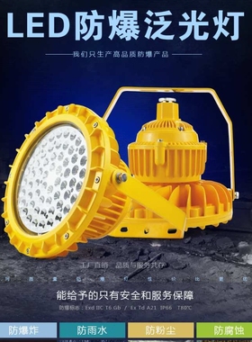 LED防爆灯20W30W40W50W60W80W100W120W防爆LED灯BLD210