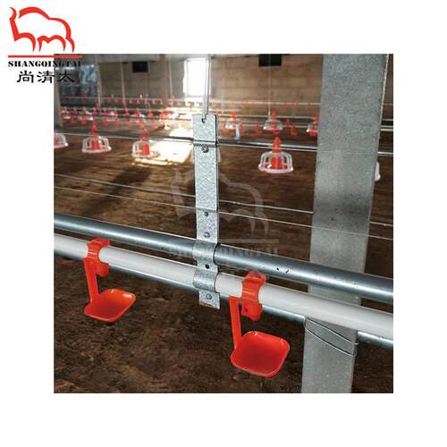 家禽地养全自动喂料系统 鸡鸭鹅饲喂料线 禽类水线料线