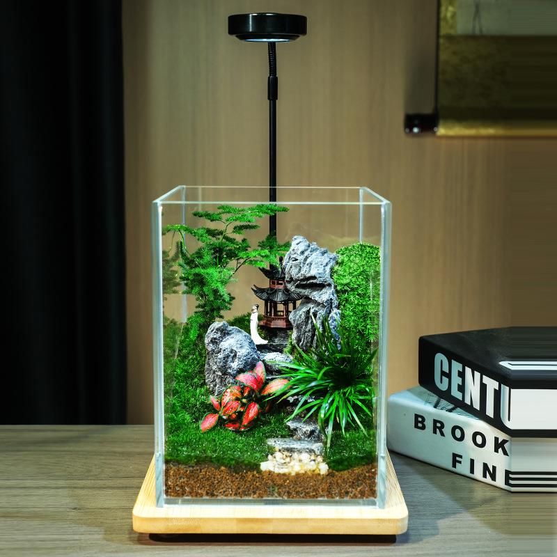 翠屿仙踪苔藓微景观生态瓶造景植物雨林创意摆件桌面森林玻璃生态