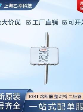 巴斯曼熔断器 170M8509 170M8510 170M8511 170M8512 170M8513