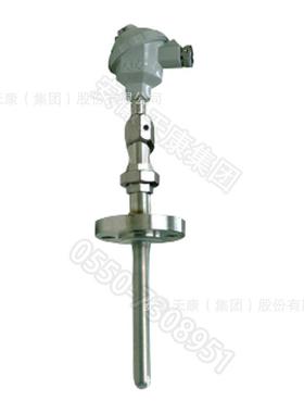 安徽天康厂家直销WRPC-230NM 吹气热电偶 石油化工热电偶