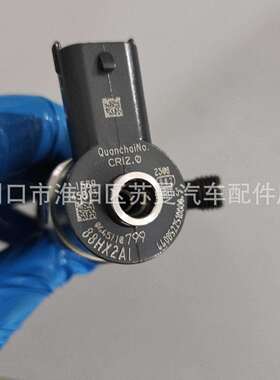 厂家直供0445110798共轨喷油器0445110799喷油嘴 一手货源量大从