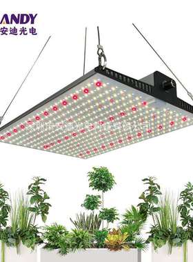 200W量子板植物灯lm301h EVO跨境电商款面板植物补光灯大棚生长灯