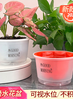 懒人自动吸水绿萝花盆专用2021新款塑料免浇N水培白色大号绿箩盆