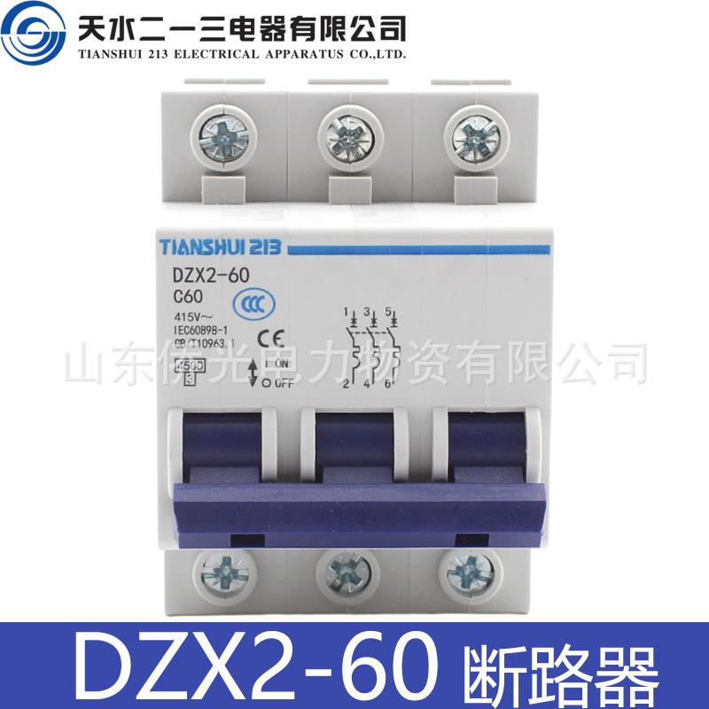 天水二一三DZX2-60 2P3P10A20A32A50A60A小型断路器空气开关