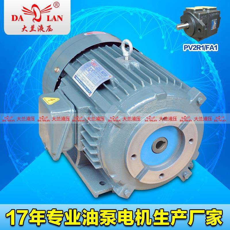 大兰DALAN内轴FA1液压电机 PV2R1油泵专用电机DL-132S-4-5.5KW