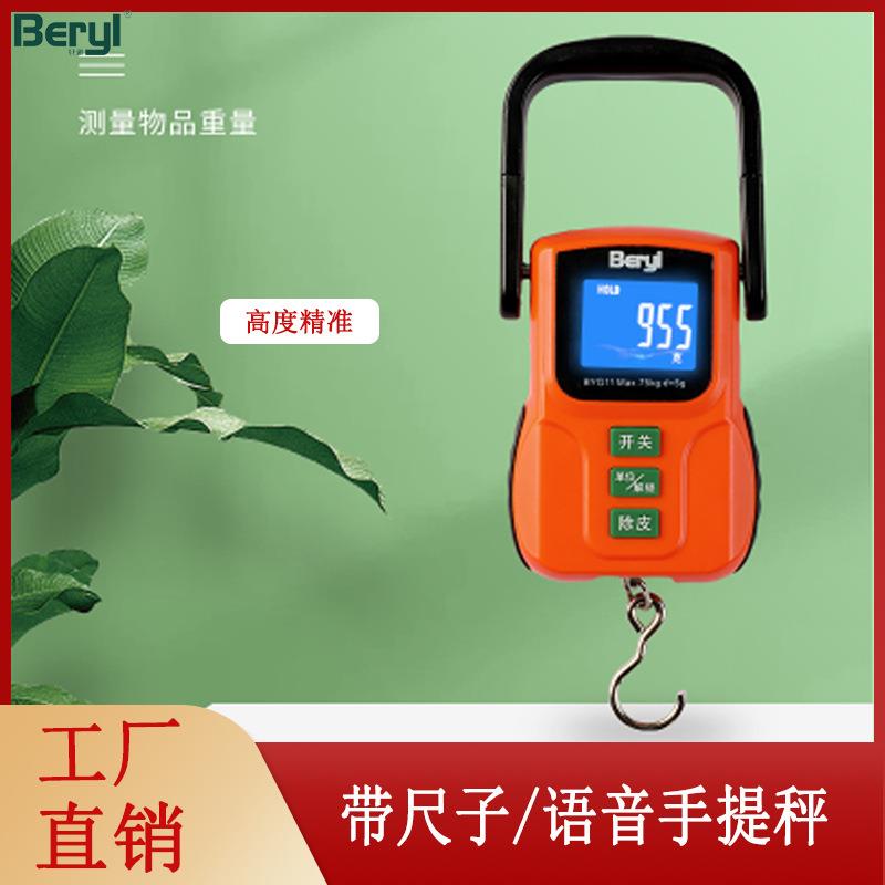 贝雅电子手提邮购快递小型充电款便携式手提秤高精度勾秤工厂
