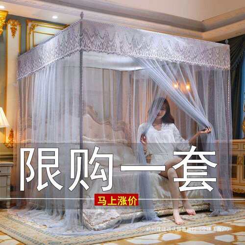 2025夏季蚊帐带支架家用老式卧室加厚加密落地三开门纹账2024新款