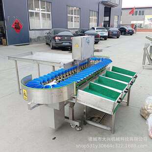 鸡翅重量分拣机自动称重系统海产品重量分选机流水线白条鸡分选机
