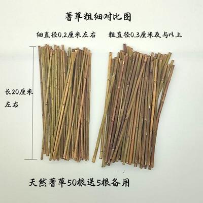 易经文化用品真品文王蓍草支送支筹策算筹算工具术数