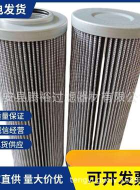 厂家现货替代直供03.2.460.25VG.16.E.P 306351英德诺曼液压滤芯