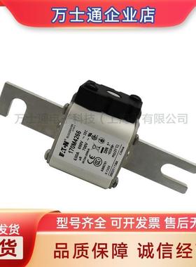 170M4758 170M4759 170M4760 170M4761 170M4762 170M4763熔断器