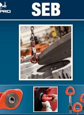 法国Codipro进口SEB固定螺栓吊点卢森堡SS.DSR万向旋转吊环索具