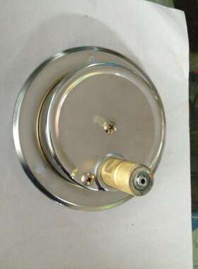 中国雷尔达YN100ZT耐震轴向带边压力表1 2 4 6 10 16 25 40MPA