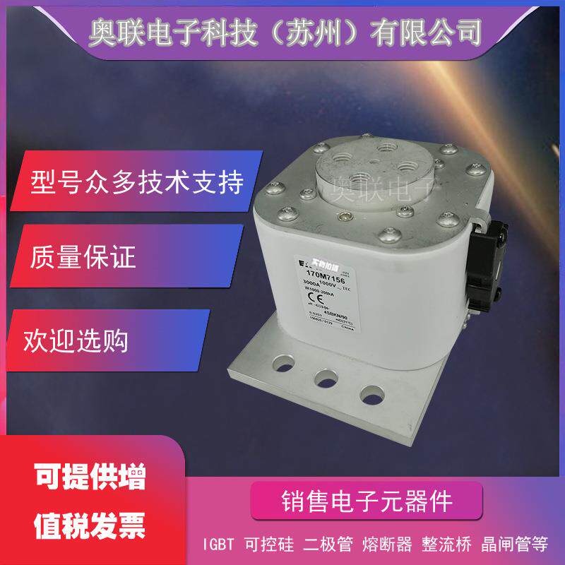 170M6008 /6009/6010/6011/6012/6013/6014巴斯曼电容保险丝