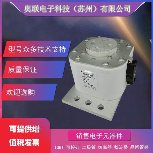 170M6008 /6009/6010/6011/6012/6013/6014巴斯曼电容保险丝