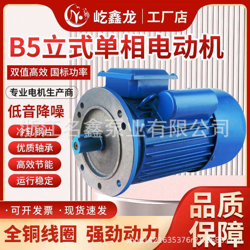 铸铁单相异步YL90电动机220v减速机电动机YL80YL100立式4极6极8极