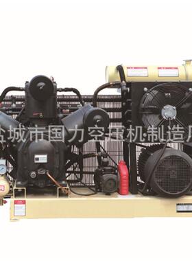 供应FW200TE吹瓶式皮带式空压机大丰空气压缩机生产厂家