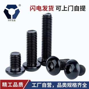 M2.5x5 2.5x12黑色圆杯螺丝304SUS过盐雾圆头内六角螺丝ISO7380