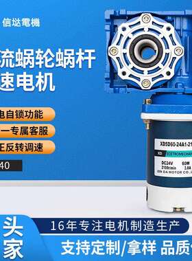 60W蜗轮蜗杆减速电机RV40大力矩直流电动机正反转调速马达12v24v
