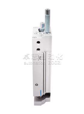 FESTO DGSL-4-6-8-10-12-20-25-50-100-150-200-C-ES-N-P-P1 气缸