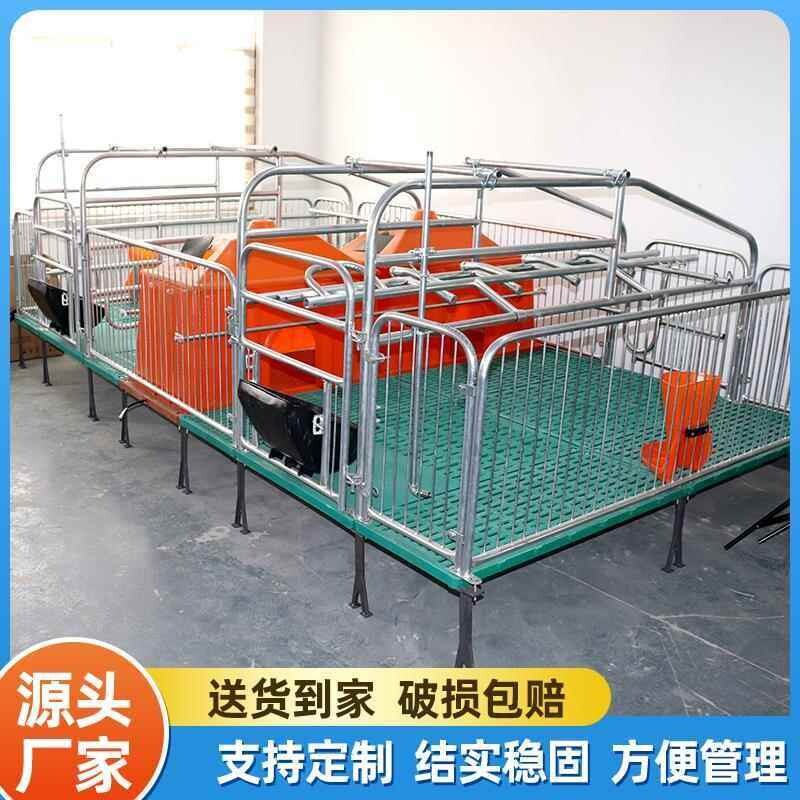 双体母猪产床保育床一体产保两用床养殖设备猪用产保单体分娩床