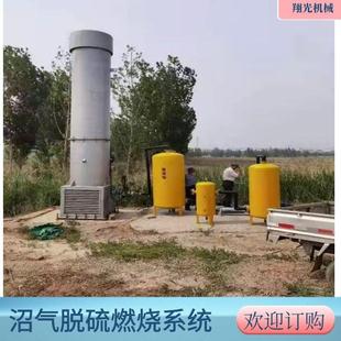 内燃式 沼气脱硫净化器 50立方 沼气火炬 翔光机械