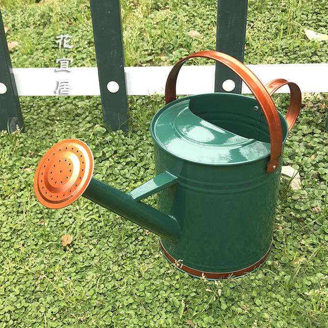 浇花浇菜壶铁皮洒水壶洒水喷壶轻奢花园水壶用洒水壶