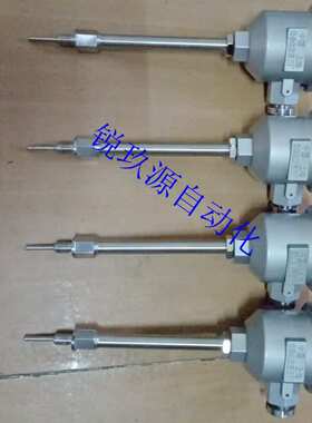 厂家供应热电阻PT100WZP-240 241热电偶K型WRN-130440