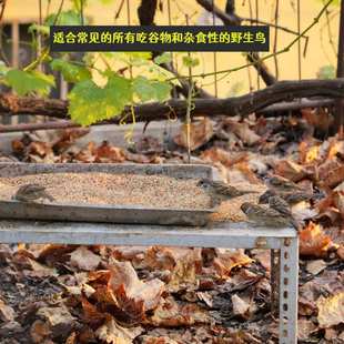 鸟食小型鸟粮野外布施麻雀斑鸠天然投喂专用带壳粮跨境厂家直销