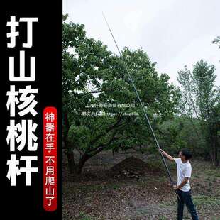 打山核桃伸缩杆子一体单杆碳素加厚超硬质保一年板栗加固多用