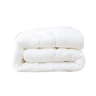 幼儿园被子三件套夏季大豆宝宝入园丝绵内胆儿童棉花被褥春秋被芯