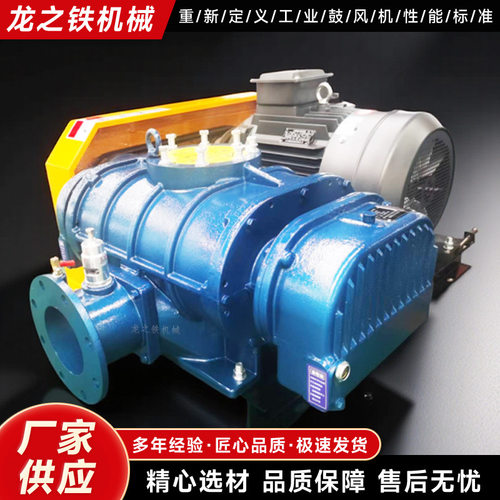 SR175高压罗茨鼓风机 大型污水处理项目水产增氧用 风量大运行稳