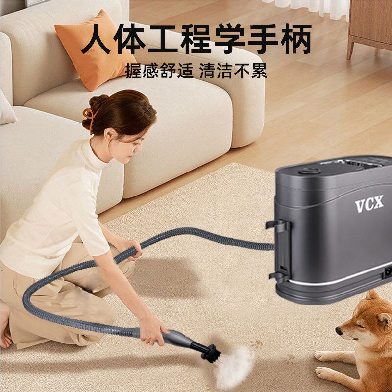 高温蒸汽清洁机家电空调洗衣机z多功能清洗设备专用清洗一体油烟