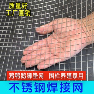 304不锈钢电焊网养殖网围栏防鸟钢丝网K筛网防逃网电焊铁丝防护网