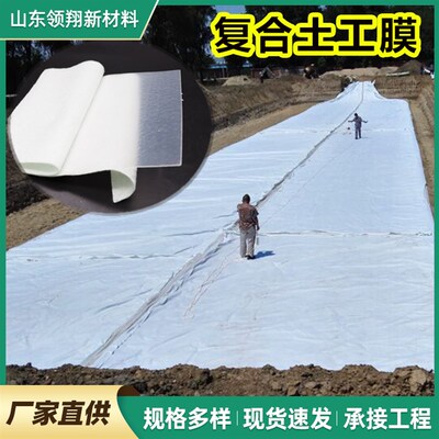 两布一膜土工布复合土工膜防水防渗膜防水土工布鱼池Y蓄水池防水