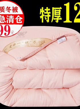12斤被子冬被加厚保暖q10斤冬季太空被双人蚕丝棉被芯春秋防螨抗