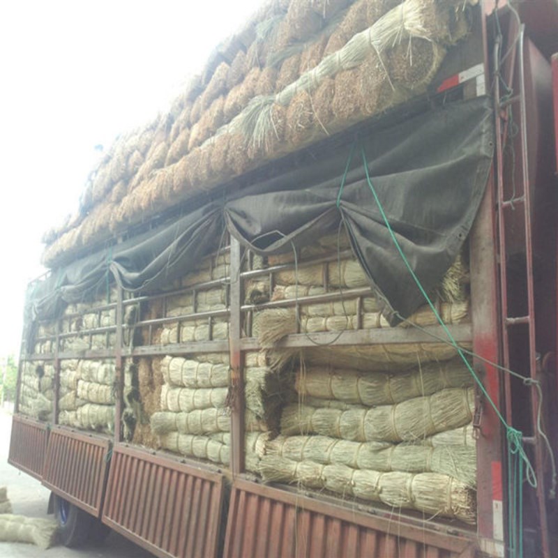 天然马莲草扎大闸蟹绳子捆东坡肉稻草绑螃蟹绳草绳捆绑绳稻草绳