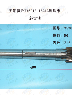 芜湖恒升T6213 TX6213镗床斜齿轮轴35301 6模12齿