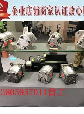 钰盟HONOR齿轮泵1KH1N03R/L 1KS1N03R/L 1KH1N37R/L 1KS1N37R/L