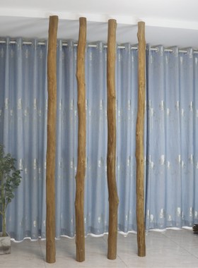 干树枝黄色短枝装饰干枝隔断屏风实木客J厅玄关白树干壁挂橱窗光